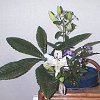 20020605144331